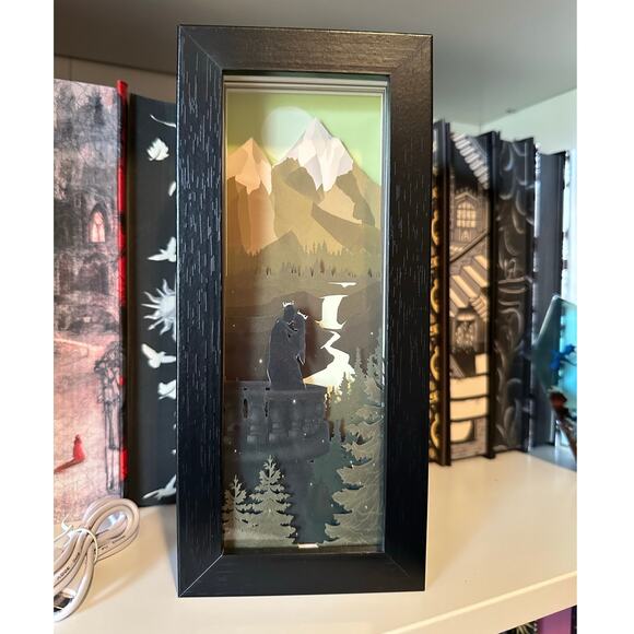 Throne Of Glass Sarah Maas Inspired Light Box Book Nook - Picture 2 of 4